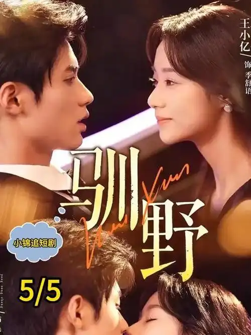 纸鸢少年 全集在线观看